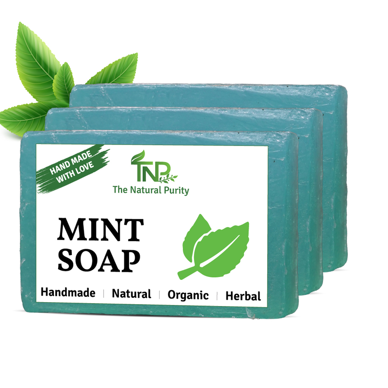 1bd154f4-770e-438f-9a10-ca58b9634844_414bd5f9-edee-4c70-a14c-75c1979be94c-4x